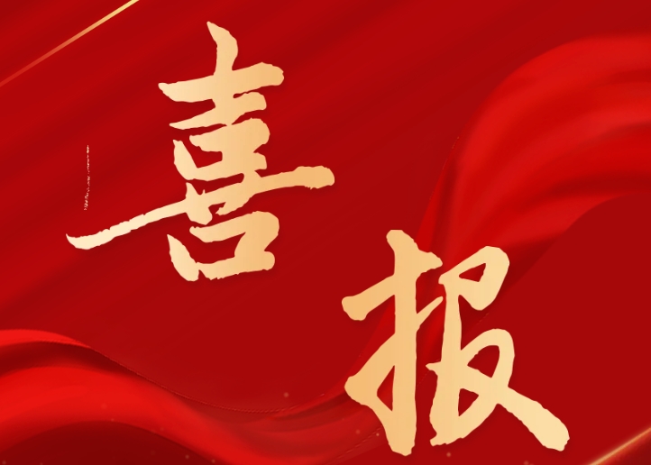 南充市保險(xiǎn)行業(yè)協(xié)會(huì)獲評(píng)全省“首批品牌社會(huì)組織”